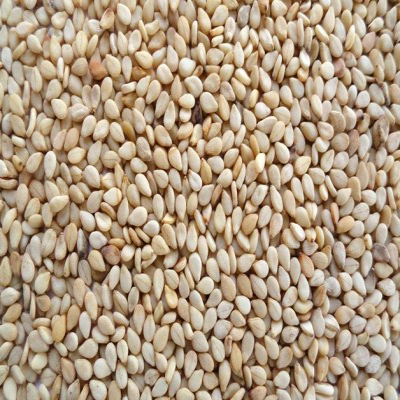 Sesame Seeds