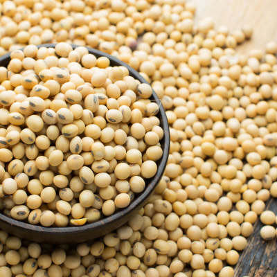 Soy Beans Seed