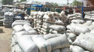 Soybeans seeds ready for shipment