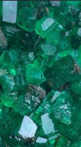 Prized for their rich green hue and rarity, emeralds symbolize luxury and prestige.